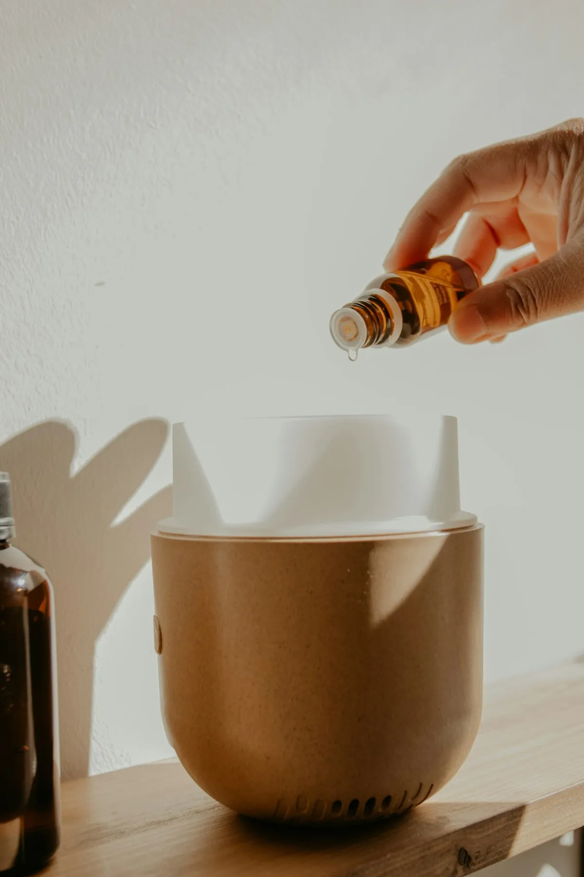 Collection of home diffuser types, ultrasonic, nebulizing, and reed